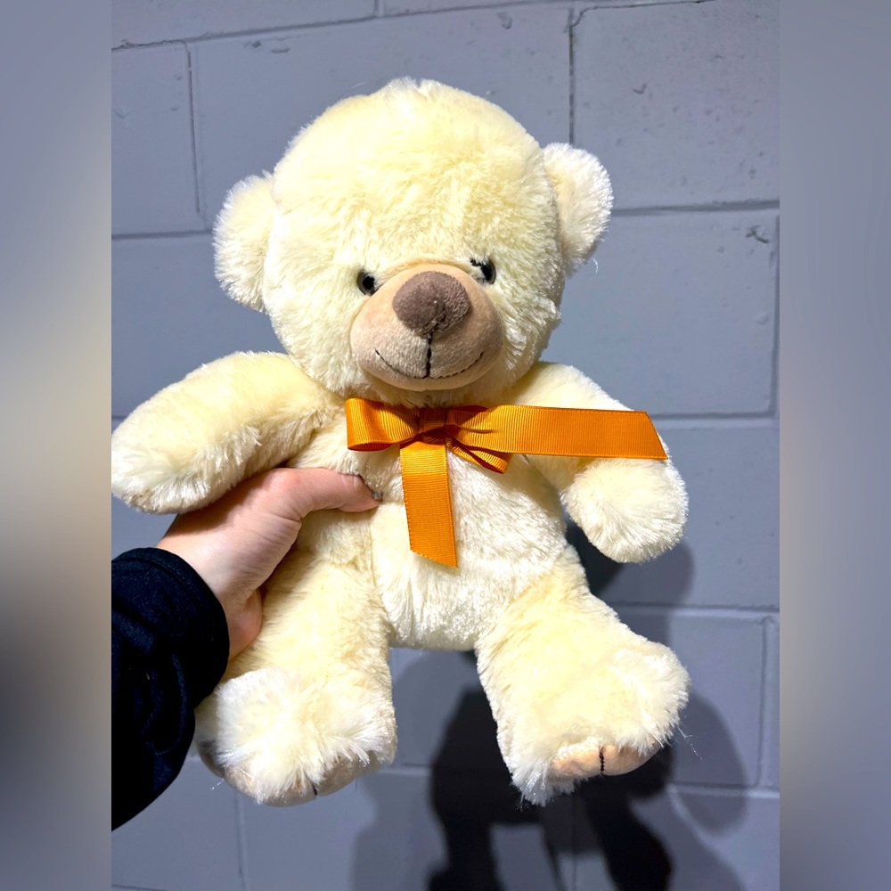 TEDDY BEAR